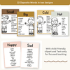 Antonym Posters - Daisy Gingham Neutrals English Decor - Miss Jacobs Little Learners