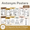 Antonym Posters - Daisy Gingham Neutrals English Decor - Miss Jacobs Little Learners