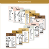 Antonym Posters - Daisy Gingham Neutrals English Decor - Miss Jacobs Little Learners