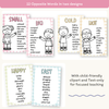 Antonym Posters - Daisy Gingham Pastels English Decor - Miss Jacobs Little Learners