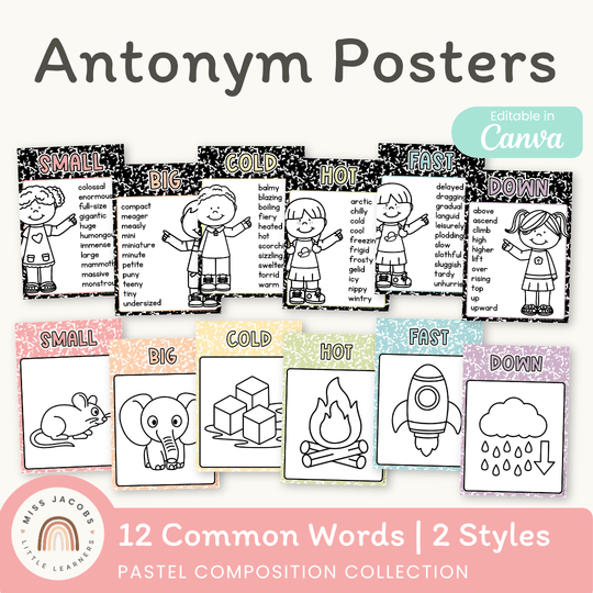 Antonym Posters - Pastel Composition Notebook English Decor