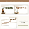 Antonym Posters - Woodland English Decor - Miss Jacobs Little Learners