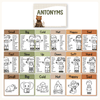 Antonym Posters - Woodland English Decor - Miss Jacobs Little Learners
