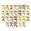 Auslan Alphabet Posters: Australian Sign Language - Happy Hive Classroom Decor - Miss Jacobs Little Learners