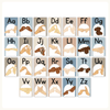 Auslan Alphabet Posters - Australian Sign Language - Modern Ocean Theme - Miss Jacobs Little Learners