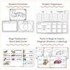 Bugs & Insects Unit - Miss Jacobs Little Learners