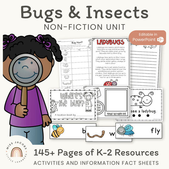 Bugs & Minibeasts Unit