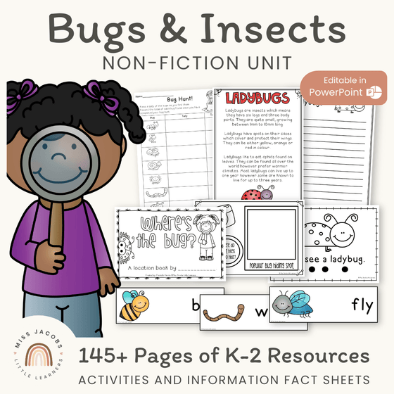 Bugs & Minibeasts Unit - Miss Jacobs Little Learners