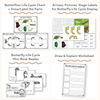 Butterfly Life Cycle Stages Mini Unit - Miss Jacobs Little Learners