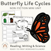 Butterfly Life Cycle Stages Mini Unit - Miss Jacobs Little Learners
