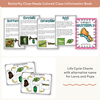 Butterfly Life Cycle Stages Mini Unit - Miss Jacobs Little Learners