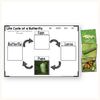 Butterfly Life Cycle Stages Mini Unit - Miss Jacobs Little Learners