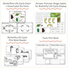 Butterfly Unit - Life Cycle, Worksheets & Activities - Miss Jacobs Little Learners