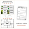 Butterfly Unit - Life Cycle, Worksheets & Activities - Miss Jacobs Little Learners