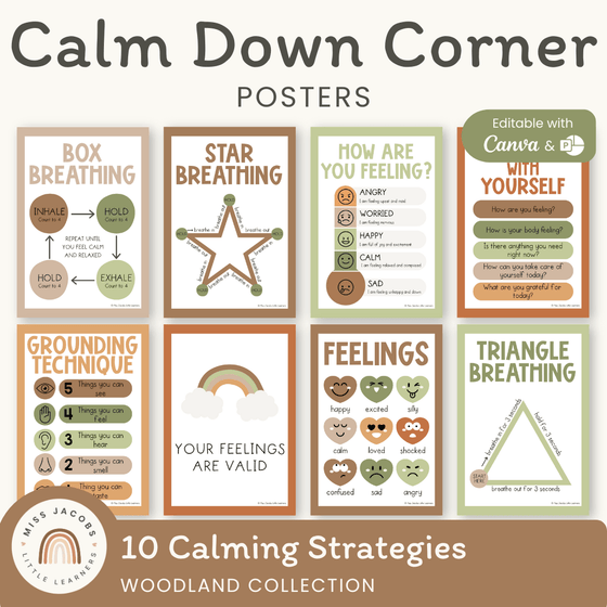 Calm Down Corner Posters - Woodland Theme Classroom Decor - Miss Jacobs Little Learners