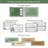 Classroom Rules and Expectations Posters - Modern Botanical Decor - Miss Jacobs Little Learners