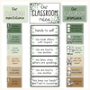 Classroom Rules and Expectations Posters - Modern Botanical Decor - Miss Jacobs Little Learners