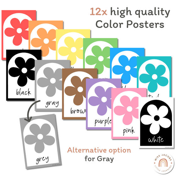Color Posters | Daisy Gingham Pastels Classroom Decor | Editable - Miss Jacobs Little Learners