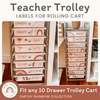 Earthy Rainbow Trolley Labels | Editable - Miss Jacobs Little Learners