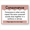 Figurative Language Posters - Cute Sea Life Classroom Decor - Miss Jacobs Little Learners