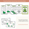 Frog Life Cycle Stages Mini Unit - Visuals and Worksheets - Miss Jacobs Little Learners