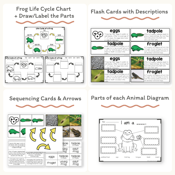 Path Program Frog Frog Thematic Unit - Miss Jacobs Little Learners