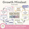 Growth Mindset Posters - Daisy Gingham Pastels Decor - Miss Jacobs Little Learners