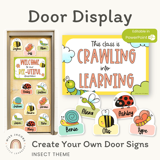 Insects Door Display Classroom Decor