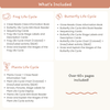 Life Cycle Thematic Units Bundle - Printables, Worksheets & Activities - Miss Jacobs Little Learners