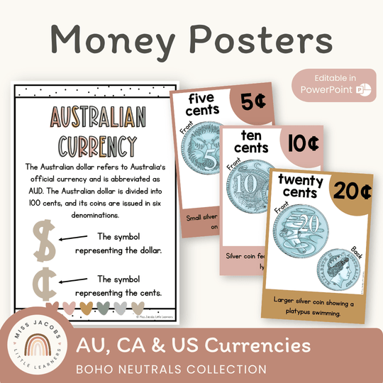 Money Posters - Boho Neutrals Theme Classroom Decor