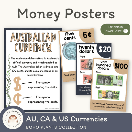 Money Posters - Boho Plants Theme Classroom Decor