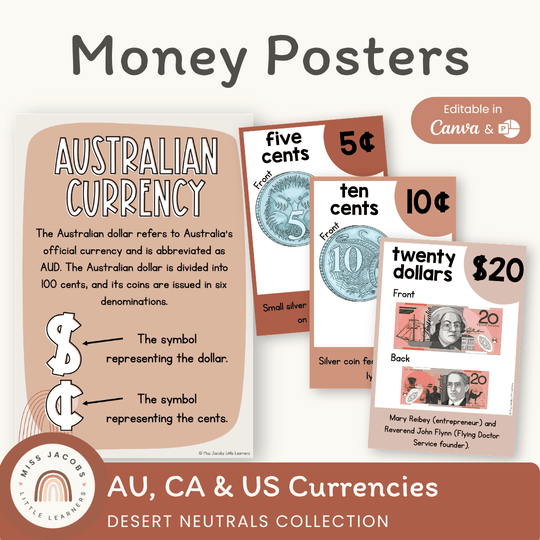 Money Posters - Boho Vibes Theme Classroom Decor