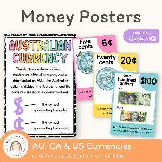 Money Posters - Cutesy Theme Classroom Decor