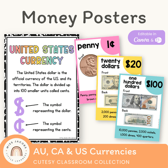 Money Posters - Cutesy Theme Classroom Decor