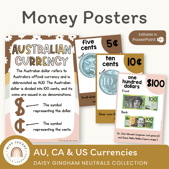 Money Posters - Daisy Gingham Neutrals Classroom Decor