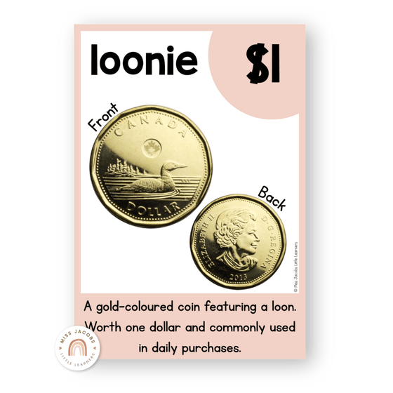 Money Posters - Daisy Gingham Neutrals Classroom Decor - Miss Jacobs Little Learners