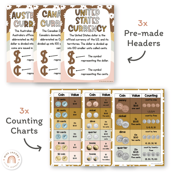 Money Posters - Daisy Gingham Neutrals Classroom Decor - Miss Jacobs Little Learners