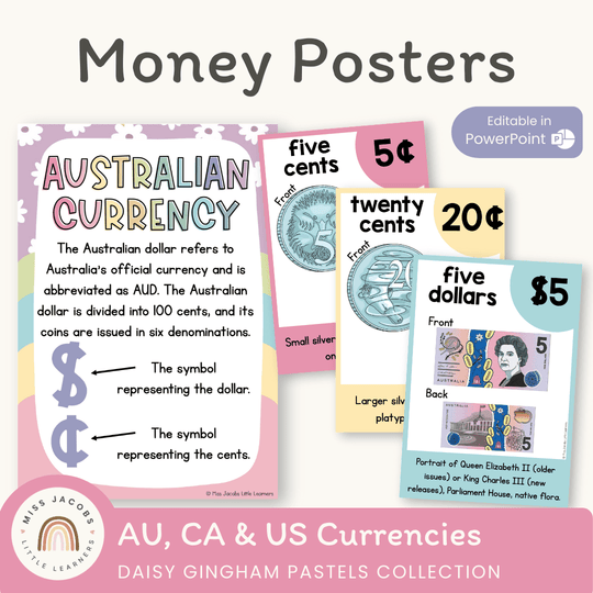 Money Posters - Daisy Gingham Pastels Theme Classroom Decor