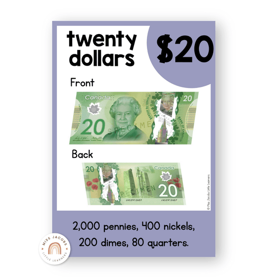 Money Posters - Daisy Gingham Pastels Theme Classroom Decor - Miss Jacobs Little Learners