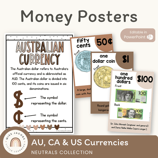 Money Posters - Neutrals Theme Classroom Decor