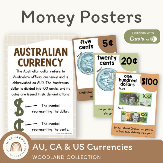 Money Posters - Woodland Theme Classroom Decor