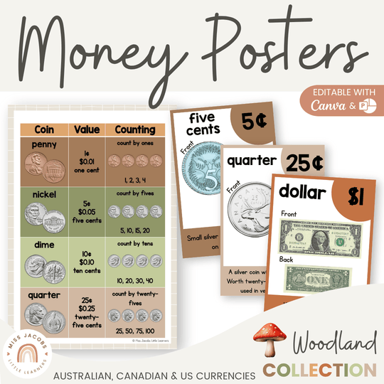 Money Posters - Woodland Theme Classroom Decor