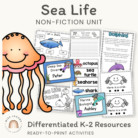 Ocean Life | Under The Sea Unit