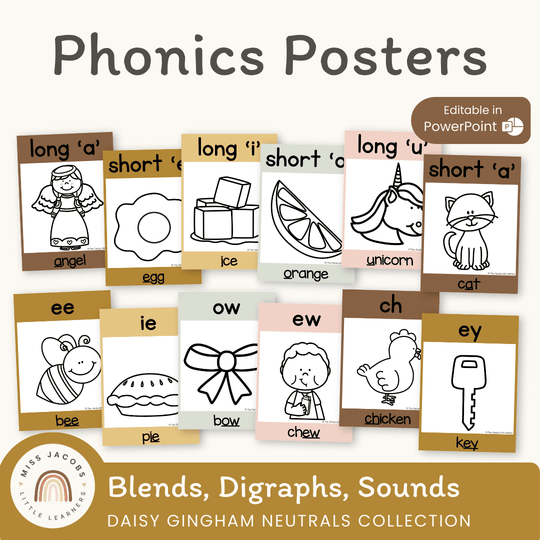 Phonics Posters - Daisy Gingham Neutrals Decor