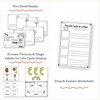 Plant Life Cycle Stages Mini Unit - Visuals and Worksheets - Miss Jacobs Little Learners
