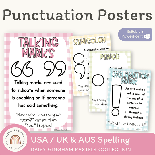 Punctuation Posters - Daisy Gingham Pastels Theme