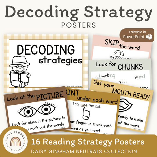 Reading Decoding Strategies Posters - Daisy Gingham Neutrals