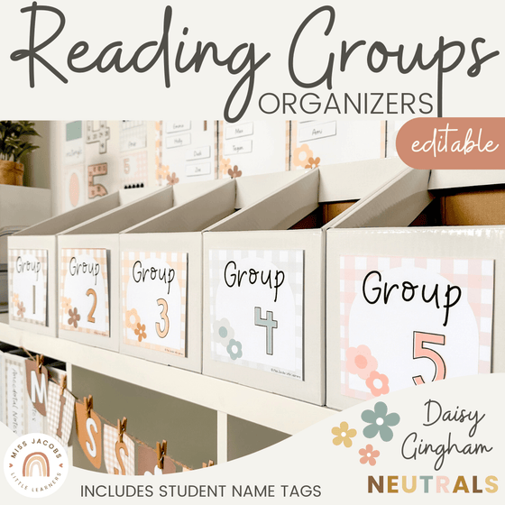 Reading Groups Organizers & Labels | Daisy Gingham Neutrals Classroom Decor | Editable - Miss Jacobs Little Learners