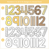 Skip Counting Large Number Display - Happy Hive Classroom Decor - Miss Jacobs Little Learners