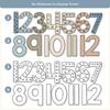 Skip Counting Large Number Display - Modern Ocean Classroom Decor - Miss Jacobs Little Learners